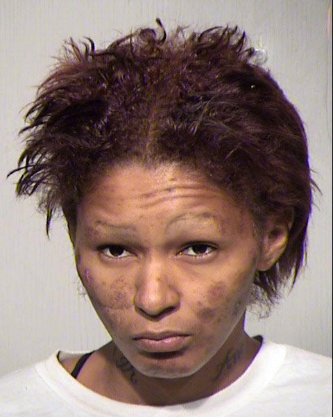 ALICIA MAGDELENA BERMUDEZ Mugshot / Maricopa County Arrests / Maricopa County Arizona