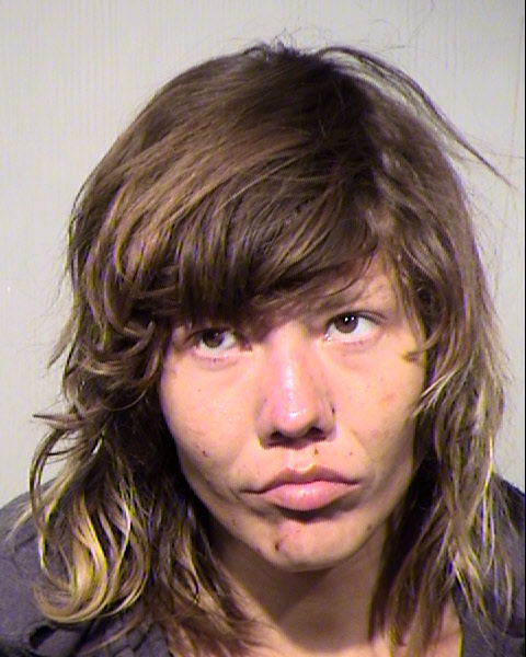 RICHELE ANDREA LAPRELL Mugshot / Maricopa County Arrests / Maricopa County Arizona