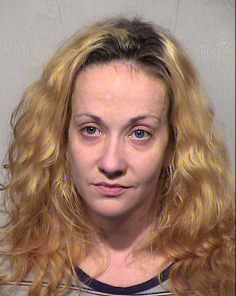 ELISSA ANN DANKS Mugshot / Maricopa County Arrests / Maricopa County Arizona