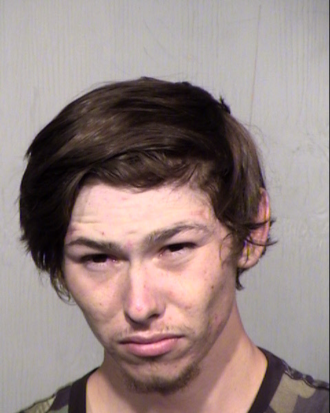 ADAM LEE EMMERMANN Mugshot / Maricopa County Arrests / Maricopa County Arizona