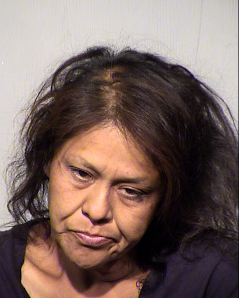 LISA ANN HORNELL Mugshot / Maricopa County Arrests / Maricopa County Arizona