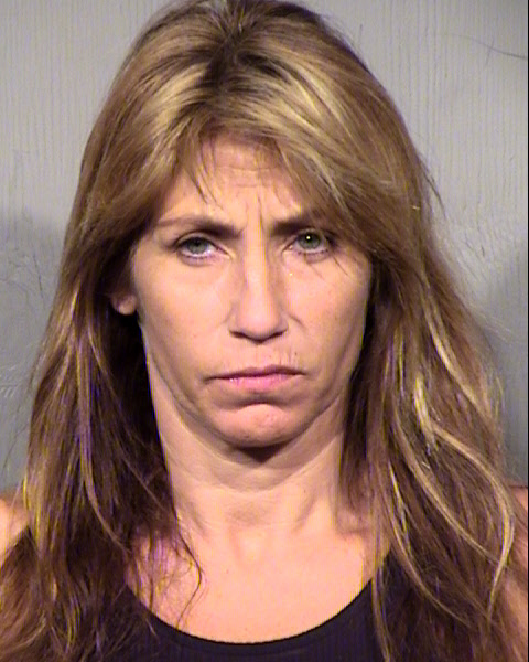 DINA JO ELIA Mugshot / Maricopa County Arrests / Maricopa County Arizona