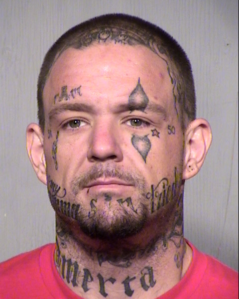ANTHONY D LARSON Mugshot / Maricopa County Arrests / Maricopa County Arizona