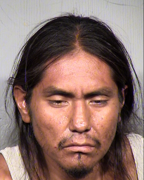 MARTIN JOHN WEHAUSEN Mugshot / Maricopa County Arrests / Maricopa County Arizona