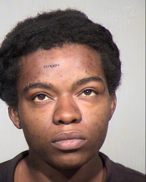 DANICKA SHANEL WASHINGTON Mugshot / Maricopa County Arrests / Maricopa County Arizona