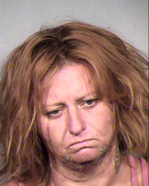 TAMMY LYNN DONALDSON Mugshot / Maricopa County Arrests / Maricopa County Arizona