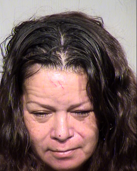 DINA PRISCILLA RUIZ Mugshot / Maricopa County Arrests / Maricopa County Arizona