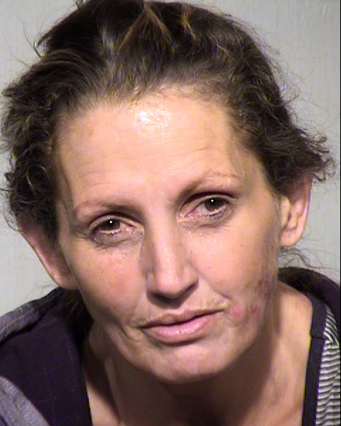 SHERICE HELENE INCE Mugshot / Maricopa County Arrests / Maricopa County Arizona