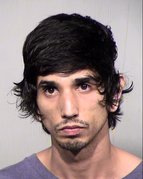 MICHAEL FARAS TIPTON Mugshot / Maricopa County Arrests / Maricopa County Arizona