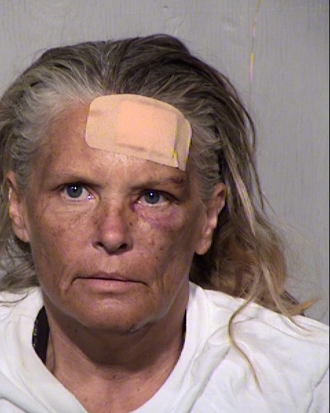 SHERRY LYNN HORST Mugshot / Maricopa County Arrests / Maricopa County Arizona