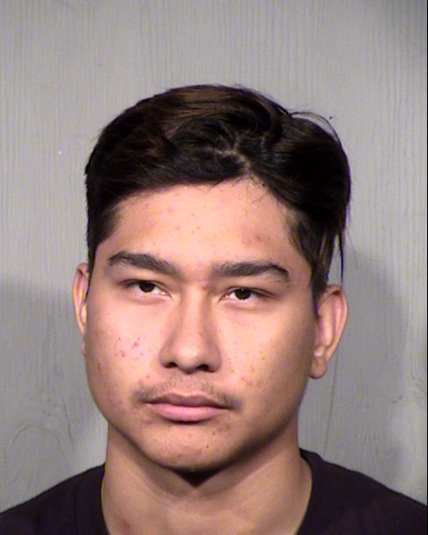 LUIS RAUL SALAS Mugshot / Maricopa County Arrests / Maricopa County Arizona