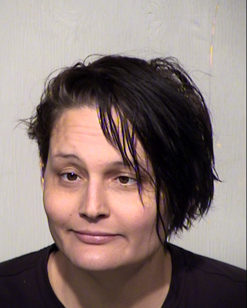ELYSE ANN FORSHEE Mugshot / Maricopa County Arrests / Maricopa County Arizona