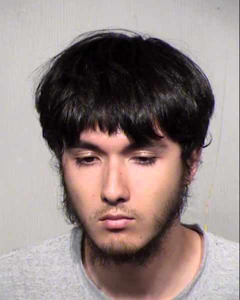 KAELEN N EBATA Mugshot / Maricopa County Arrests / Maricopa County Arizona