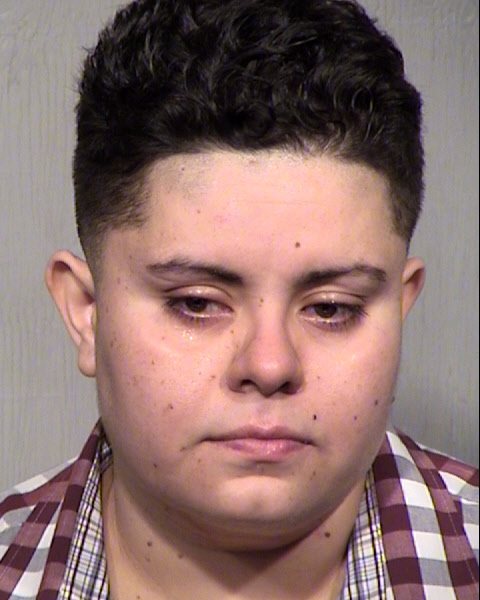 ERIKA A ONTIVEROS MORALES Mugshot / Maricopa County Arrests / Maricopa County Arizona