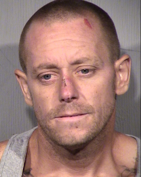 LYLE DENNIS HARMON Mugshot / Maricopa County Arrests / Maricopa County Arizona