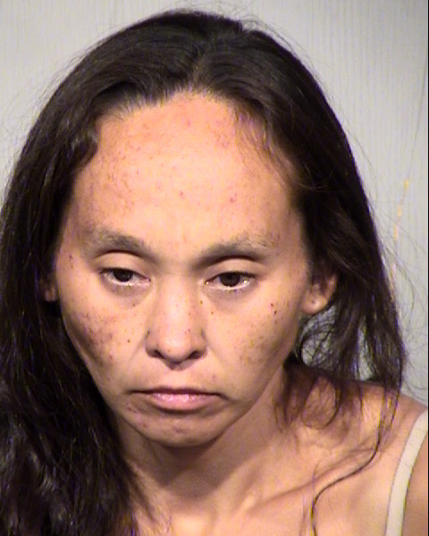 REBECCA J KATCHATAG Mugshot / Maricopa County Arrests / Maricopa County Arizona