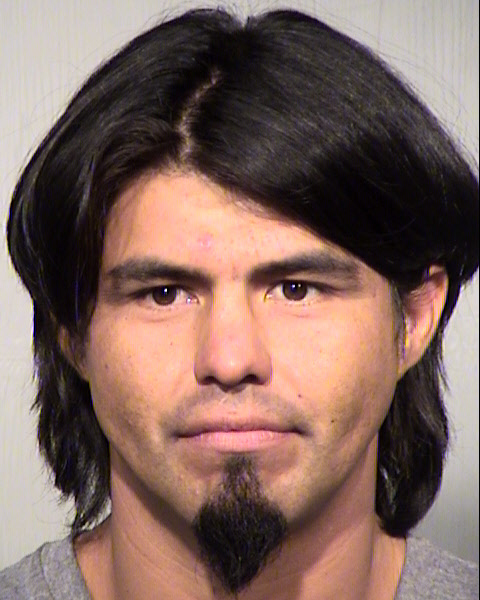 FERNANDO LUIS CASTRO Mugshot / Maricopa County Arrests / Maricopa County Arizona