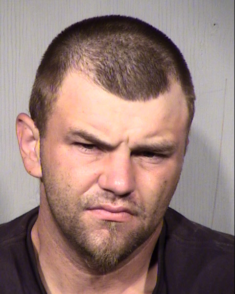 BRANDYN LEE TRESSELT Mugshot / Maricopa County Arrests / Maricopa County Arizona