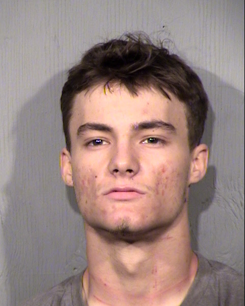 ETHAN MICHAEL DALEMILLER Mugshot / Maricopa County Arrests / Maricopa County Arizona