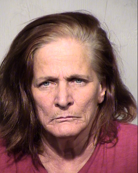 AMY DIANE HAUBER Mugshot / Maricopa County Arrests / Maricopa County Arizona