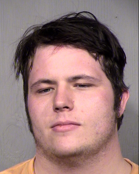 SHANE ELIJAH LINGARD Mugshot / Maricopa County Arrests / Maricopa County Arizona