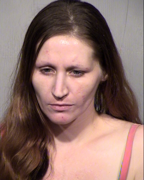 LARA ASHLEY SCHMITZ Mugshot / Maricopa County Arrests / Maricopa County Arizona