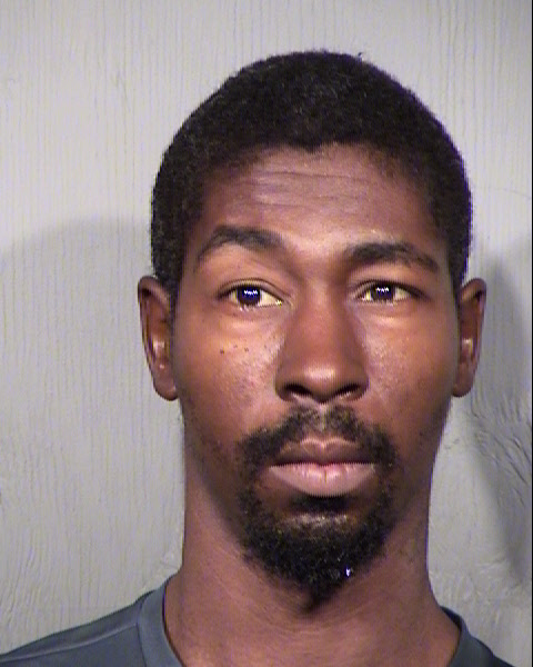 JOSHUA LEVEL WILSON Mugshot / Maricopa County Arrests / Maricopa County Arizona