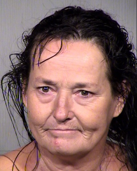 CHERYL ANNE ACKERMAN Mugshot / Maricopa County Arrests / Maricopa County Arizona