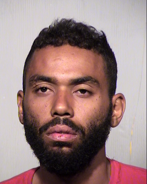 PHILLIP JULIAN ANGELCHINO Mugshot / Maricopa County Arrests / Maricopa County Arizona