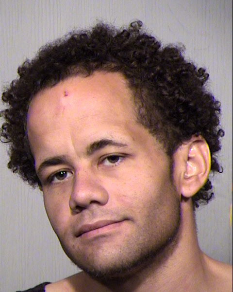 MICHAEL AARON TURNER Mugshot / Maricopa County Arrests / Maricopa County Arizona