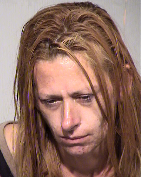 AMY MARIE LEE Mugshot / Maricopa County Arrests / Maricopa County Arizona