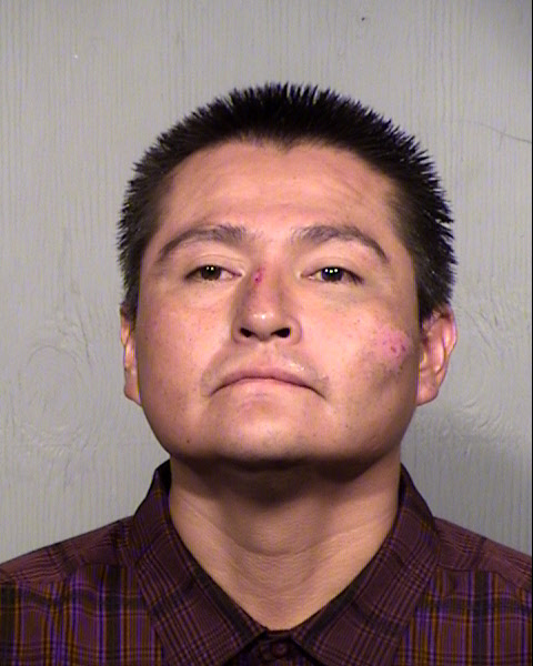 LORIN HARRY EVANS Mugshot / Maricopa County Arrests / Maricopa County Arizona