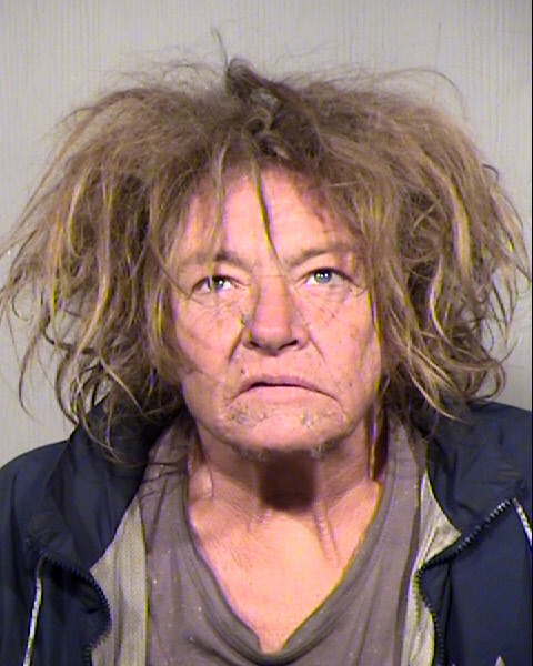 AMY CAMILLE WHITE Mugshot / Maricopa County Arrests / Maricopa County Arizona