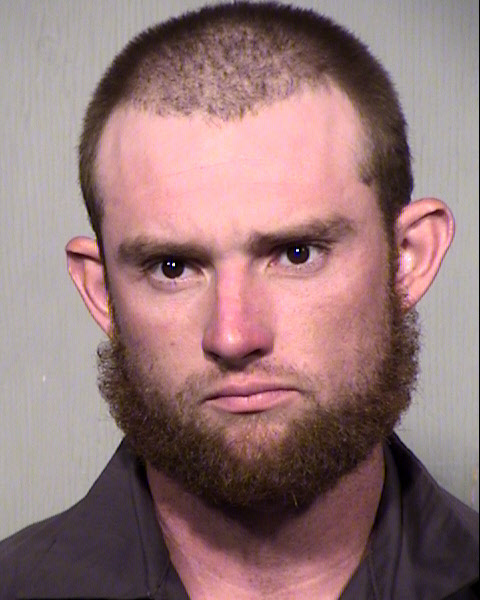 BLAKE LEE HAMILTON Mugshot / Maricopa County Arrests / Maricopa County Arizona