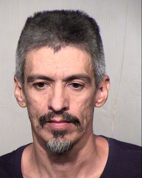 SHAWN MICHAEL HANNAH Mugshot / Maricopa County Arrests / Maricopa County Arizona