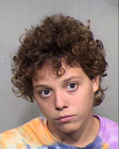 DANIELLA KAITLIN CAMMACK Mugshot / Maricopa County Arrests / Maricopa County Arizona