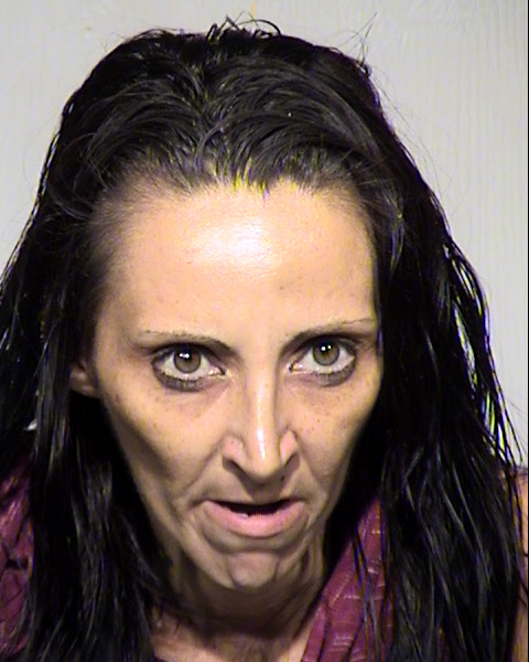 KATHY LYNN CASTILLO Mugshot / Maricopa County Arrests / Maricopa County Arizona