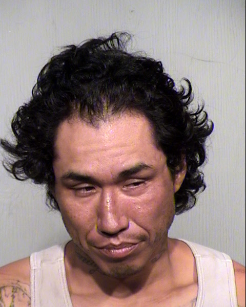 STEPHEN THOMAS SCHURZ Mugshot / Maricopa County Arrests / Maricopa County Arizona