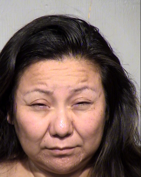 CHERYL ANN LITTLE Mugshot / Maricopa County Arrests / Maricopa County Arizona