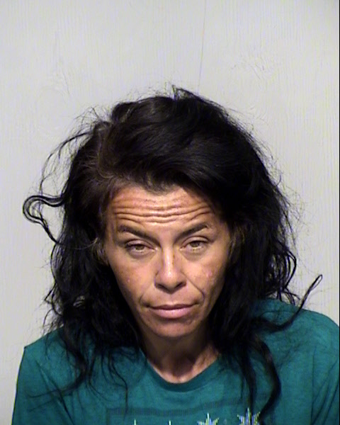 DENISE ANNE FINKLEA Mugshot / Maricopa County Arrests / Maricopa County Arizona