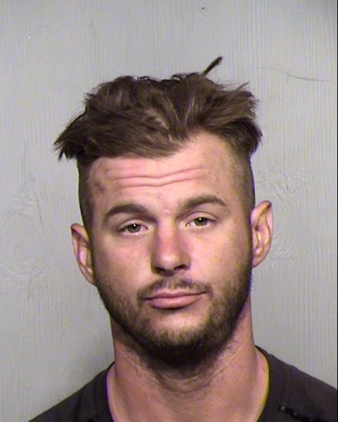 TYLER OBRYAN MCLENDON Mugshot / Maricopa County Arrests / Maricopa County Arizona