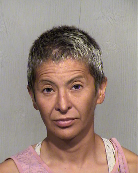 JENNIFER RODHOUSE Mugshot / Maricopa County Arrests / Maricopa County Arizona