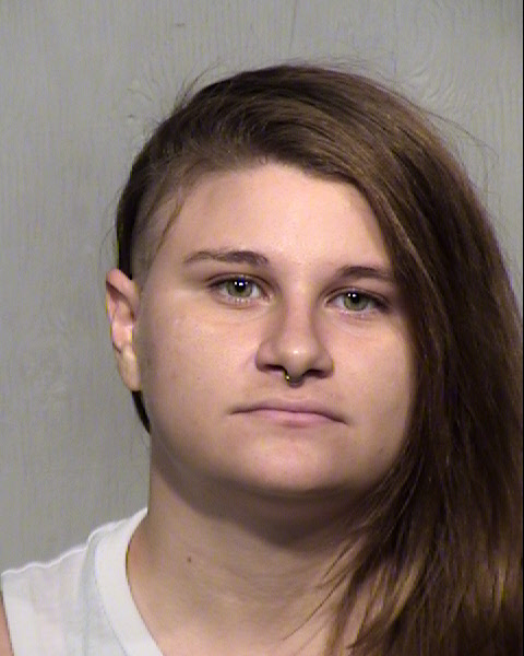 ELIZABETH ANNE SULLIVAN HAKE Mugshot / Maricopa County Arrests / Maricopa County Arizona