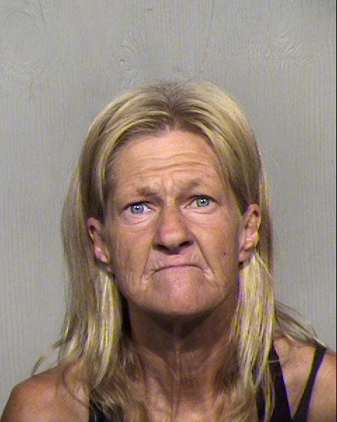 NIKKI ANN BARTLETT Mugshot / Maricopa County Arrests / Maricopa County Arizona