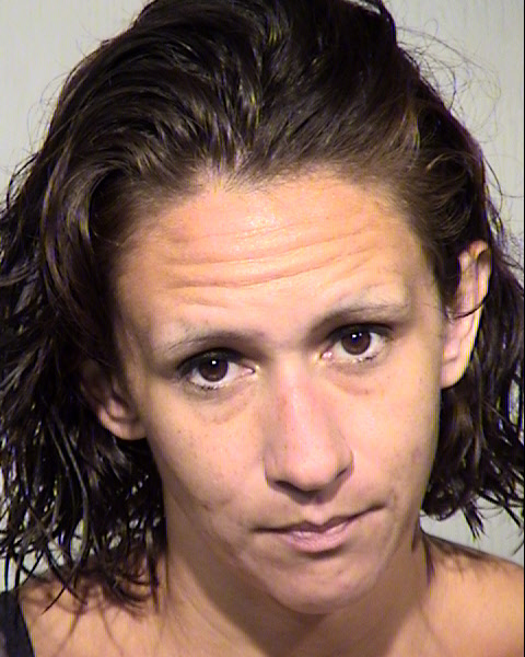SUZANNA L SHAW Mugshot / Maricopa County Arrests / Maricopa County Arizona