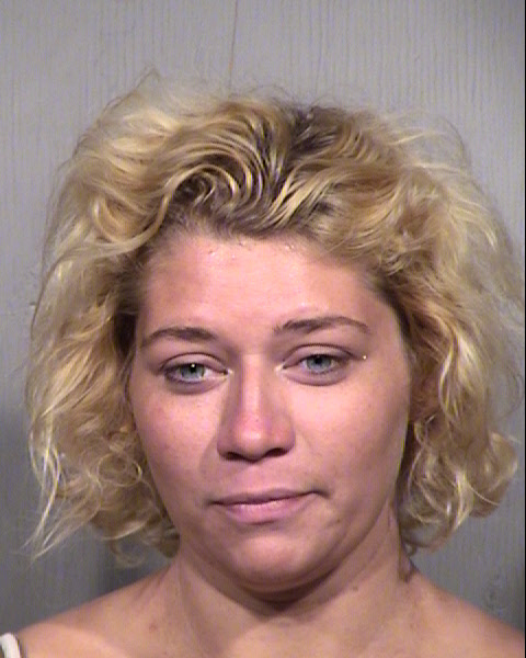 AMANDA RENEE LOOMIS Mugshot / Maricopa County Arrests / Maricopa County Arizona