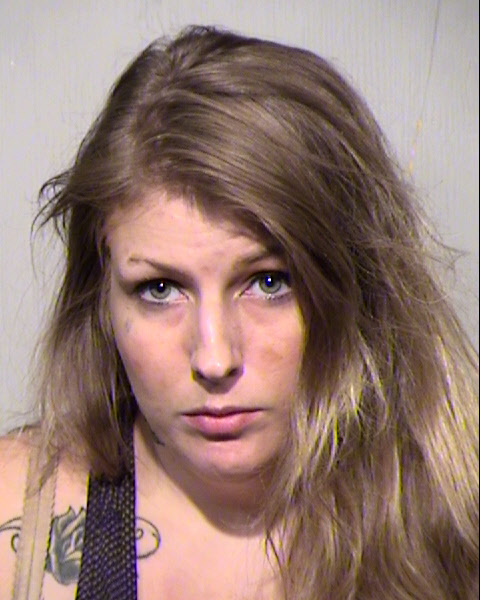 JENNIFER JENISEK Mugshot / Maricopa County Arrests / Maricopa County Arizona