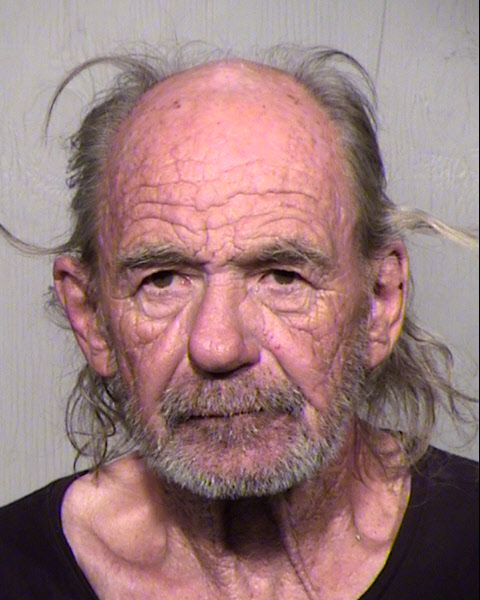 ROBIN SANGER PISZ Mugshot / Maricopa County Arrests / Maricopa County Arizona