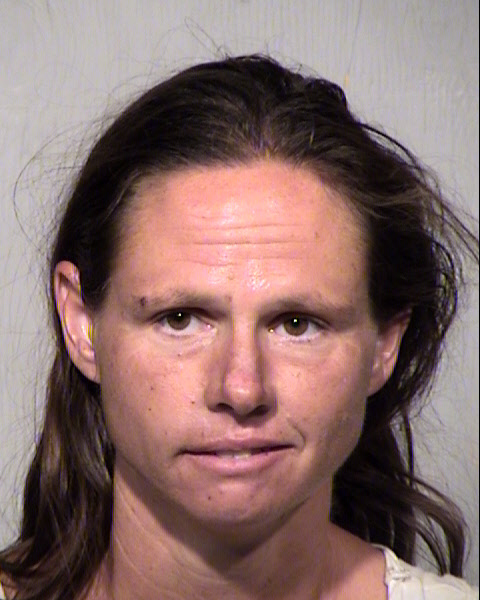 BARBARA ANNE LEE Mugshot / Maricopa County Arrests / Maricopa County Arizona