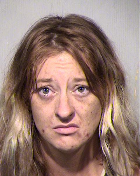 COURTNEY M DOPP Mugshot / Maricopa County Arrests / Maricopa County Arizona